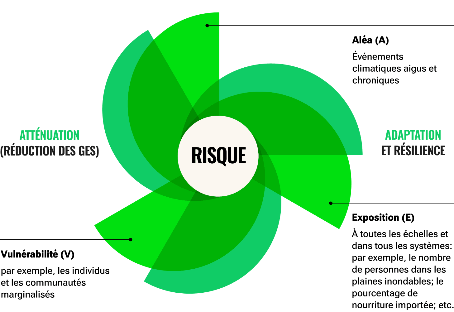 Un cercle blanc avec des petals verts ressemblent une fleur representant les elements composant le risque climatique et les impacts d’attenuation et adaptation. Ces elements sont les aléas climatique, l’exposition, et la vulnérabilité.