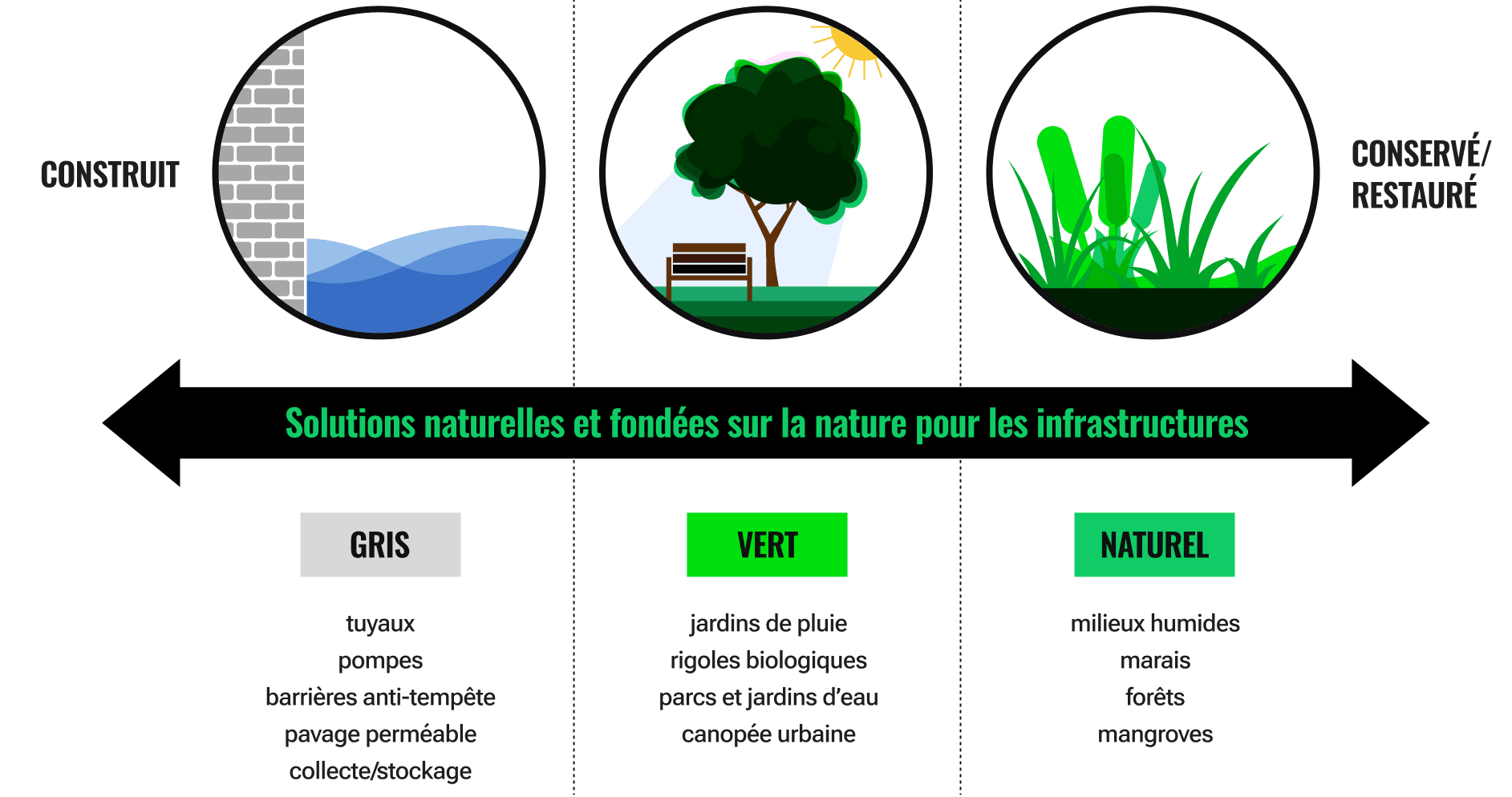 Un dessin d’eau et un mur de briques représentent des solutions construites ou grises. Vient ensuite l’image d’un banc sous un arbre, représentant des solutions vertes ou hybrides, suivie d’une image de quenouilles, représentant des solutions entièrement naturelles telles que les zones humides.