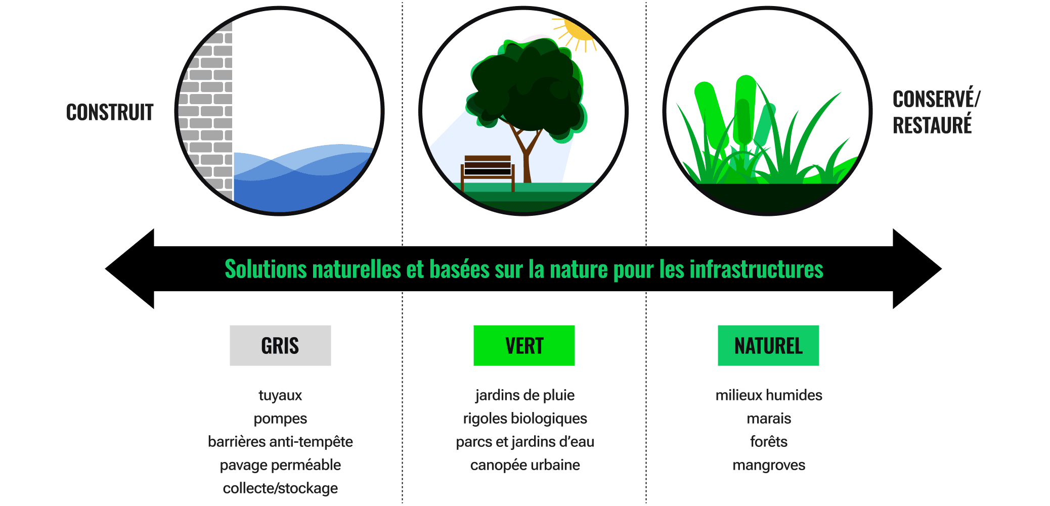 Un dessin d’eau et un mur de briques représentent des solutions construites ou grises. Vient ensuite l’image d’un banc sous un arbre, représentant des solutions vertes ou hybrides, suivie d’une image de quenouilles, représentant des solutions entièrement naturelles telles que les zones humides.